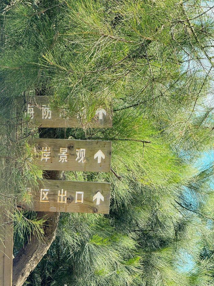 石村自行车（石村自行车好不好） 石村自行车（石村自行车好不好

）《石村自行车是哪里生产的》 自行车