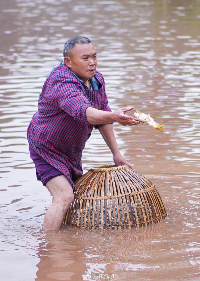 水塘中便有很多的淤泥,下去抓鱼的时候不仅要踩在淤泥之中,鱼身上也是