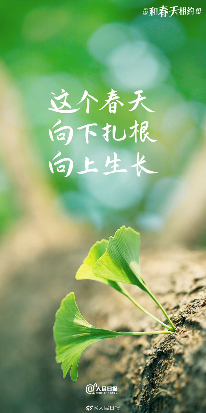 扎根,向上生长"的坚韧,更有"各自努力,顶峰相见"的奔赴……9句励志