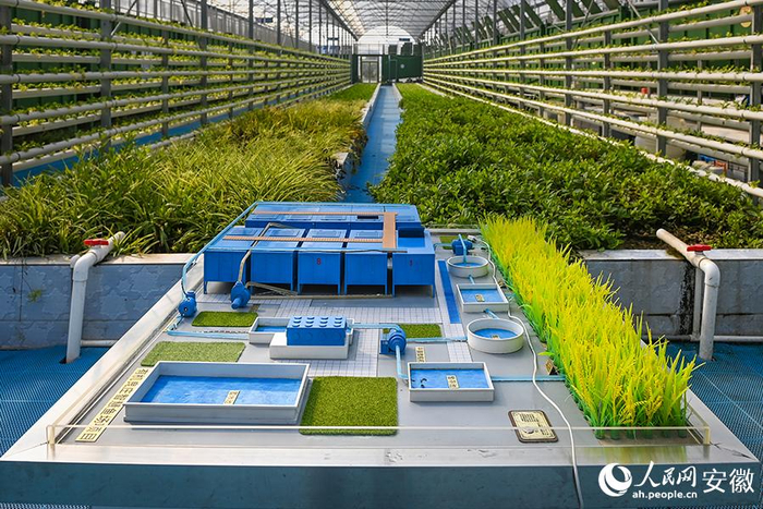 太和水果批发：新鲜与品质的完美碰撞