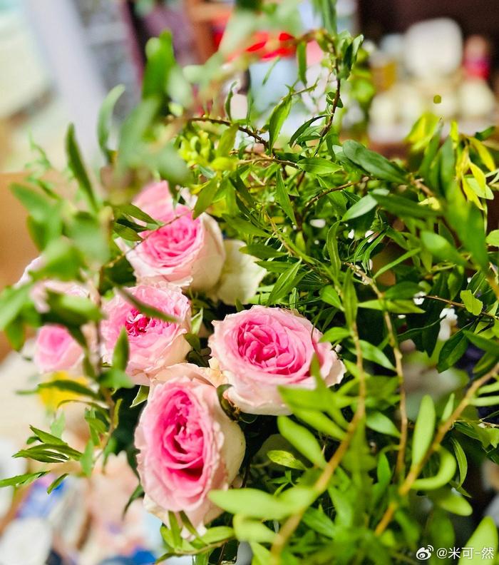 周三快乐这一段时间家里的鲜花好心情是自己给的