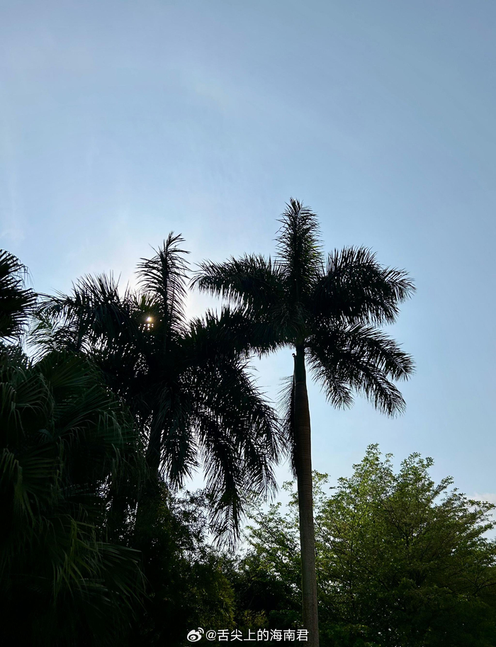 海南的夏天估计很快就到了千万要做好防晒防护哦别忘了给小朋友也涂上