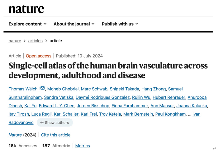 Nature：人类最新脑血管单细胞图谱发布，覆盖发育期、成年及疾病状态__财经头条__新浪财经