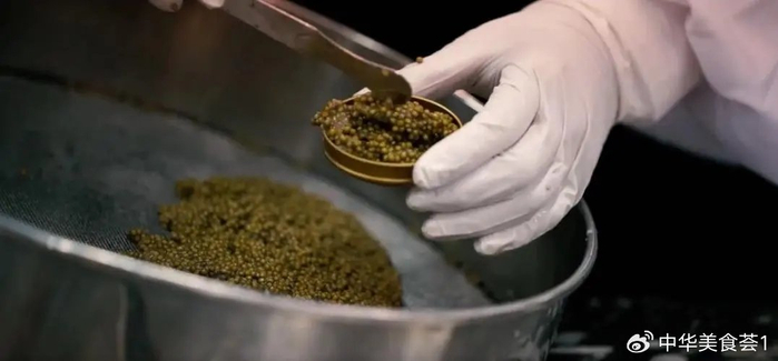 深海中的黑色珍珠,鱼子酱的美味|珍珠|鱼子酱|鱼子_新浪新闻
