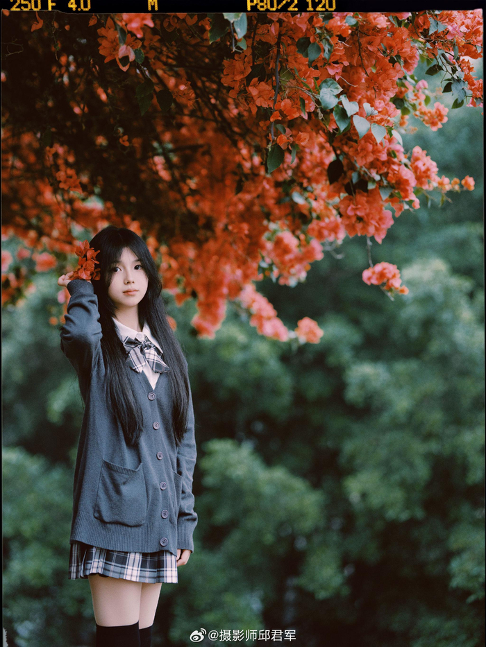 赴一场春日三角梅の约器材富士gfx100s摄影师邱君军微相册