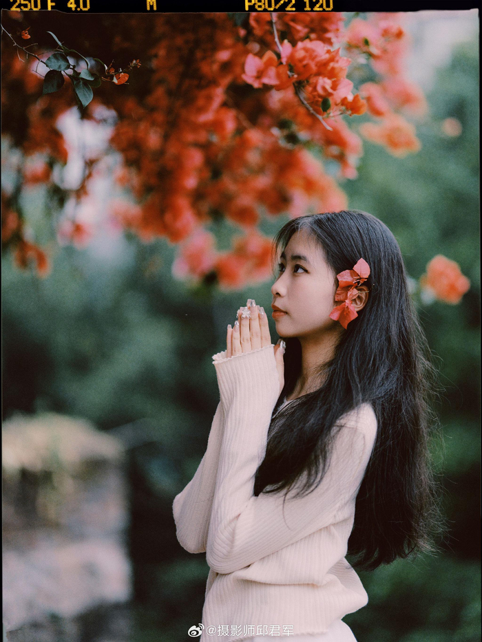 赴一场春日三角梅の约器材富士gfx100s摄影师邱君军微相册