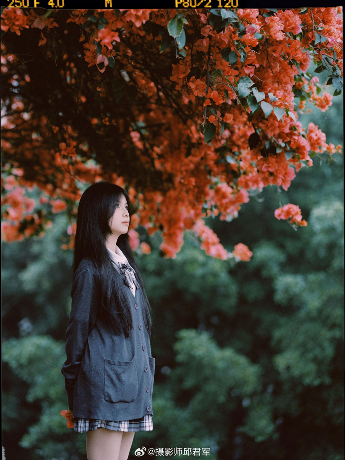 赴一场春日三角梅の约器材富士gfx100s摄影师邱君军微相册