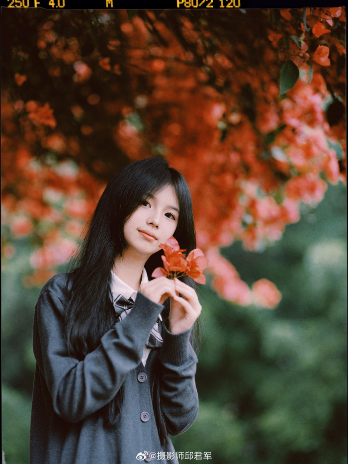 赴一场春日三角梅の约器材富士gfx100s摄影师邱君军微相册