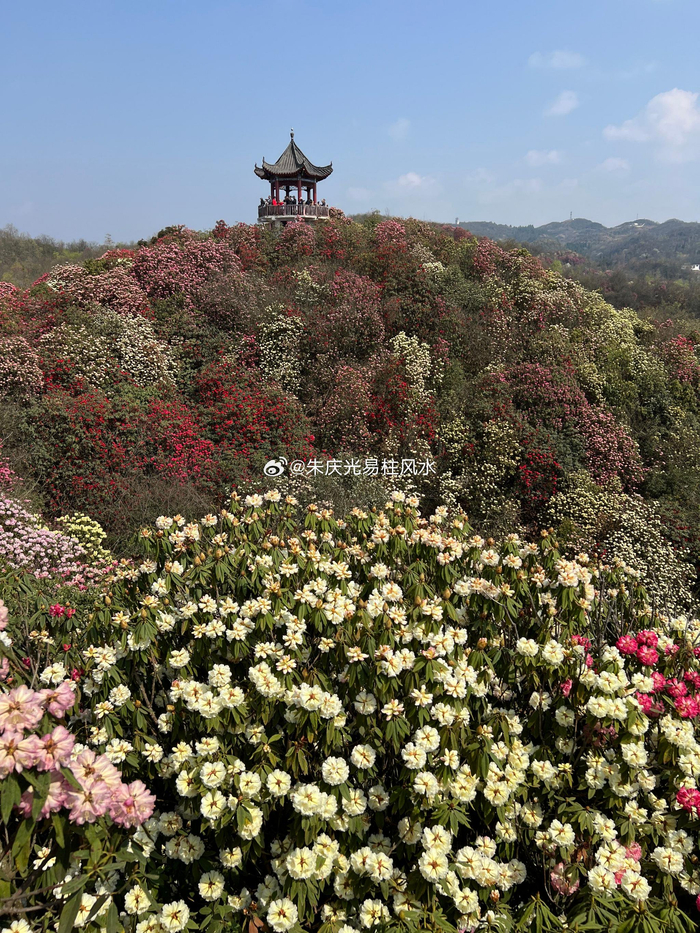 百里杜鹃百里财百年好合百岁嗨百尺竿头进一步百战百胜富贵来