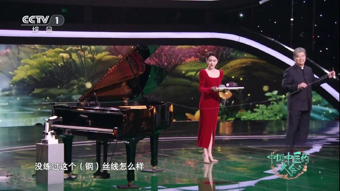 龙洋持续被央视重用,又有新节目开播,连鲁健和王端端都成了陪衬
