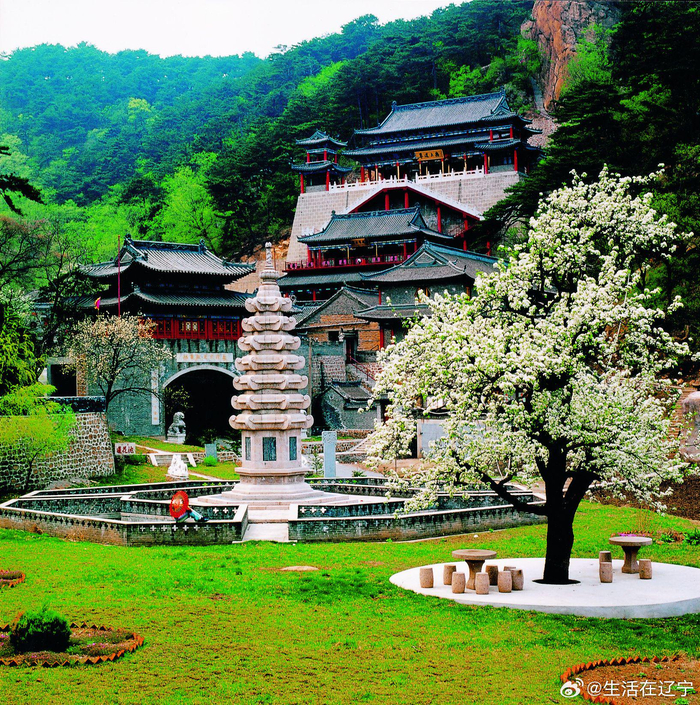 一树梨花一树春 | 来鞍山千山找春天