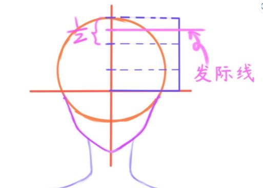 3,三庭五眼確定完髮際線,就可以劃分三庭,三庭指的是髮際線到下巴平均