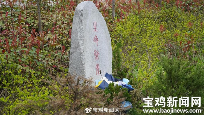 宝鸡积极推广树葬等生态丧葬 为生命礼仪"添绿"