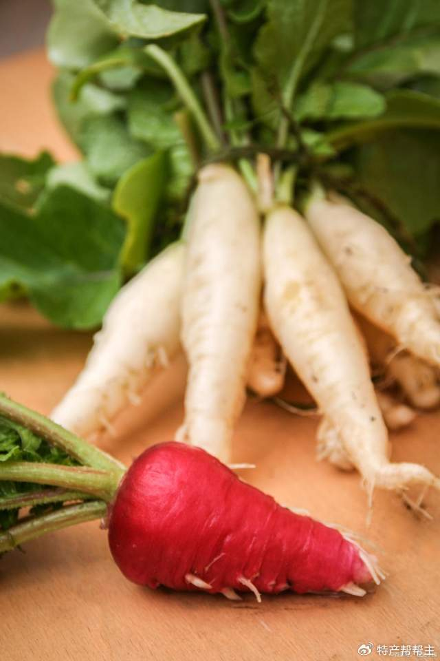 胡萝卜和红萝卜有啥区别