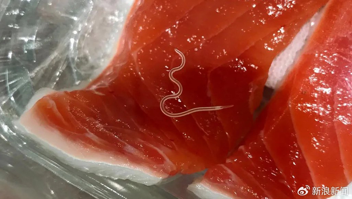 这种美食一到夏天就全网安利,但我劝你别吃|寄生虫|肝吸虫|海鲜_新浪