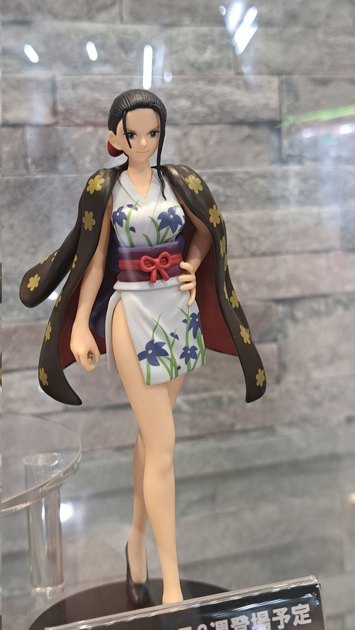 the出航罗宾手办wcf五档路飞special手办实物展出图