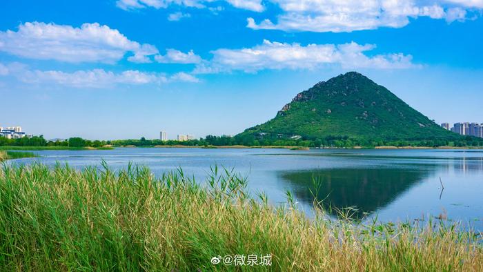 昨天強對流天氣後的濟南華山溼地公園