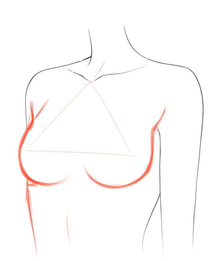 你还不会画胸部?3分钟轻松教会你画出圆润又性感胸部!