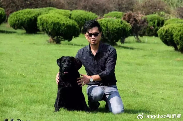 对话恩宠堂徐桦不止于生意如何重做宠物殡葬行业