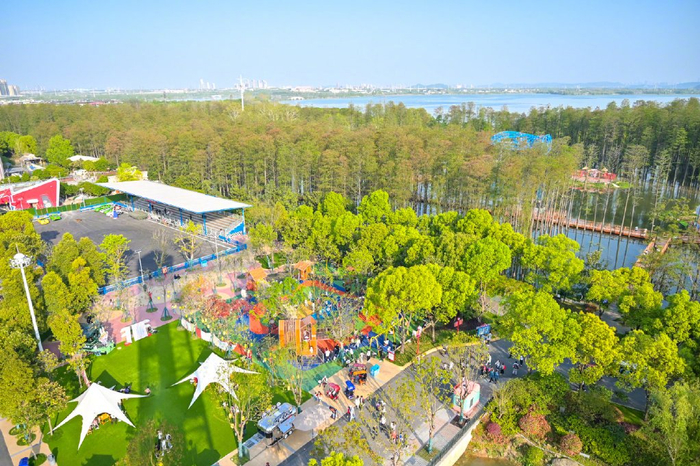 速来认领你的"树朋友"|水杉|欢乐谷|武汉_新浪新闻