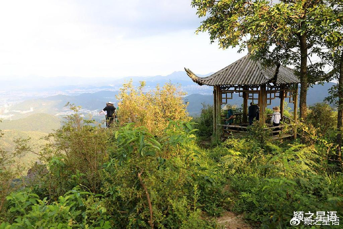杜鹃|剑岩|潭山_新浪新闻