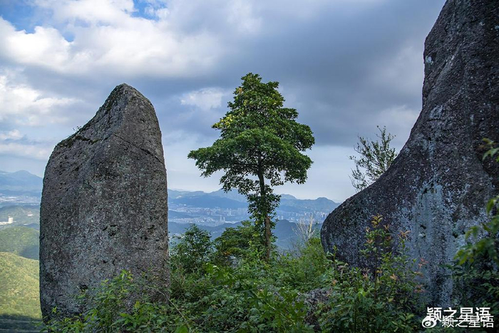 杜鹃|剑岩|潭山_新浪新闻