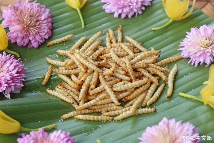 竹虫,来自腾冲竹林深处的诱惑