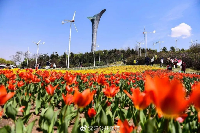 【2024爱沈阳·春天花正开】24个重点场景,来沈阳,就按这个逛!|辽宁省