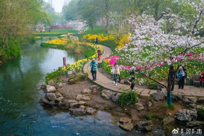 太子湾公园比较适合清晨游玩除非特别喜欢人从众你觉得呢