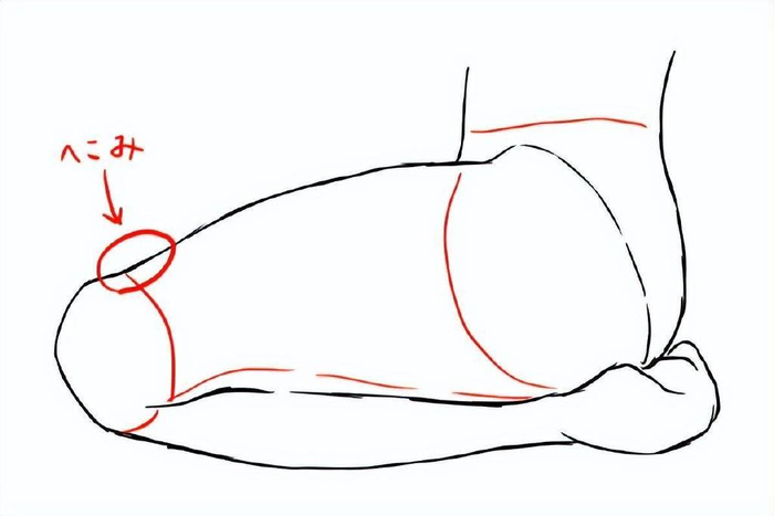 小腿被大腿挤压,所以外面