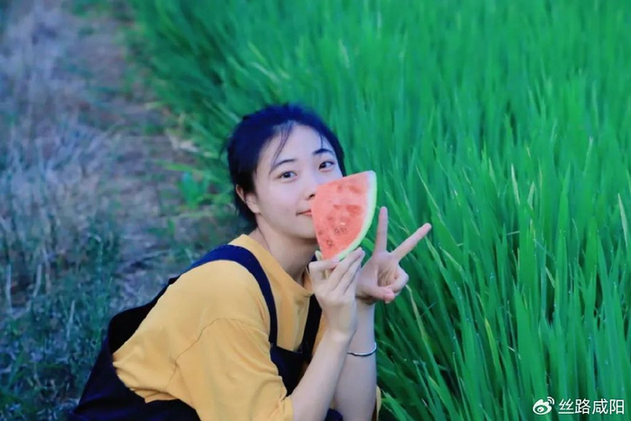 上岸北大,清华,暨大!