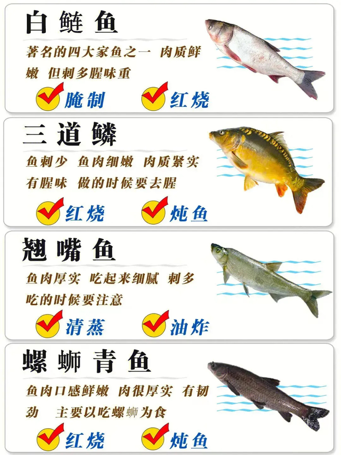 生活中40种常见食用鱼类,哪一种是你最喜欢吃的呢?