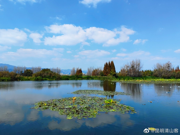 昆明海埂大坝湿地公园__财经头条