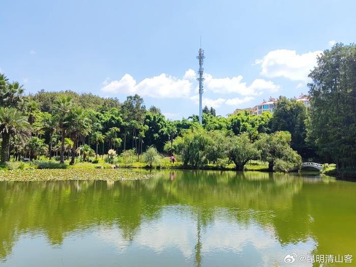 昆明植物园东园图片