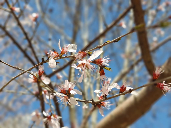 春暖花开,万物复苏__财经头条