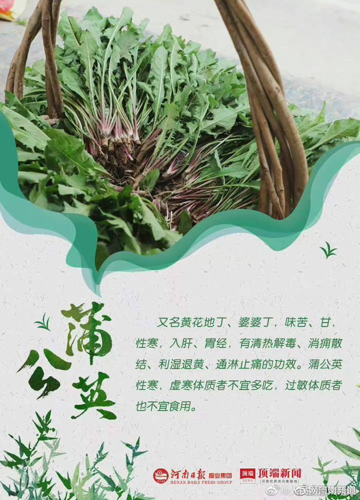 接下来我们河南人要吃什么__财经头条__新浪财经