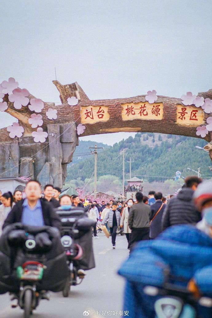 想你的风还是吹到了刘台桃花节