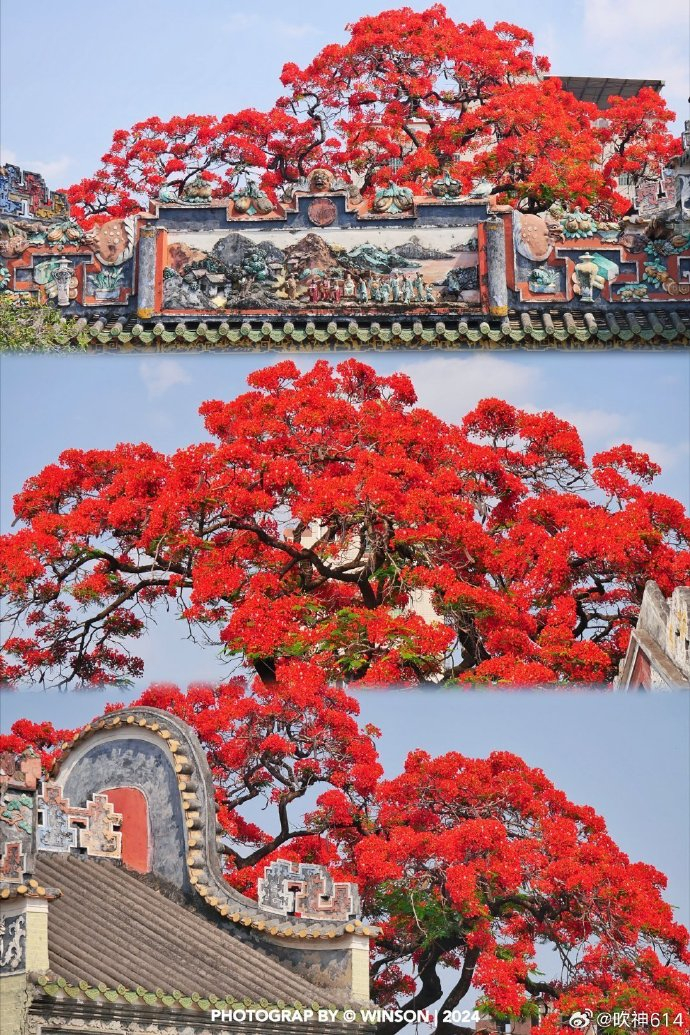 红火的生命力与宗祠岭南建筑真的很配 99广州·周氏大宗祠