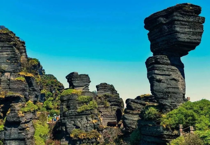 这个季节的梵净山有多美?一起来看看吧!|长廊|梵净山|金顶_新浪新闻