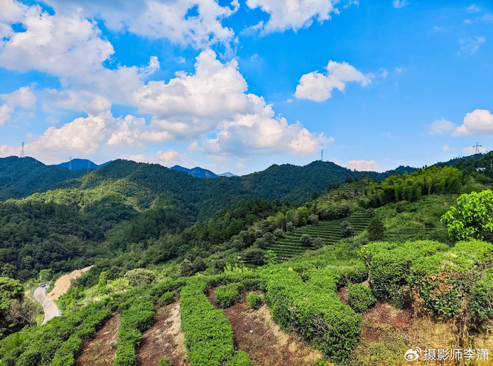 绿色之旅|大别山|茶园|古碑镇_新浪新闻