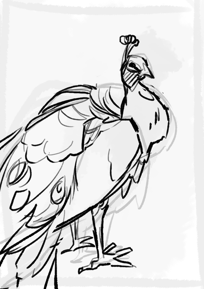 这么详细的画鸟教程,不看损失可大了!|鸟类|鸟|形状_新浪新闻