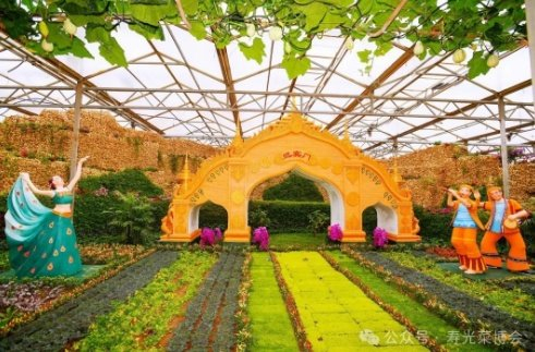 潍坊寿光:来菜博会探寻不一样的蔬菜文化之旅