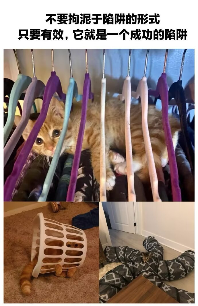 教你如何在设置一个能在家中捕获到猫的陷阱