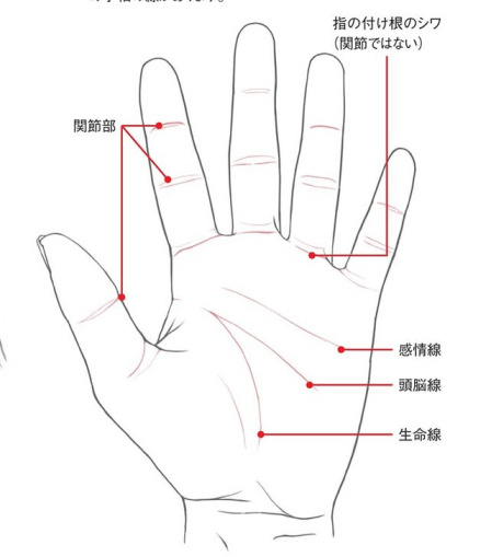 手控福利!超详细手部画法技巧.|手指|关节|画法_新浪新闻