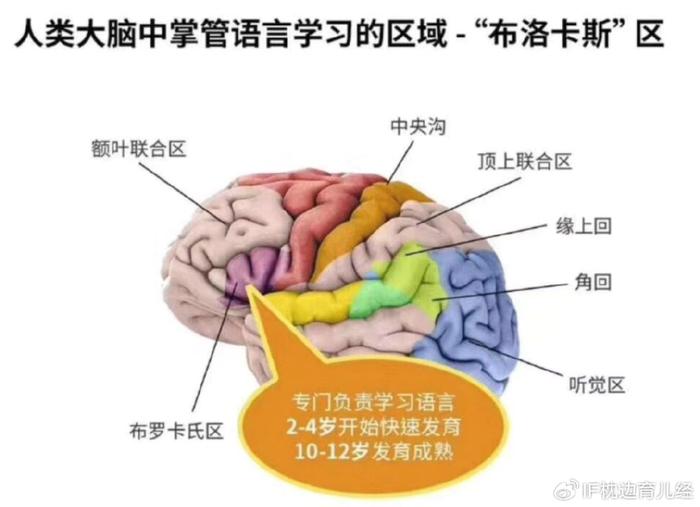 根據教育部公佈的數據可知,小學,初中,高中這3個階段所接受的知識量