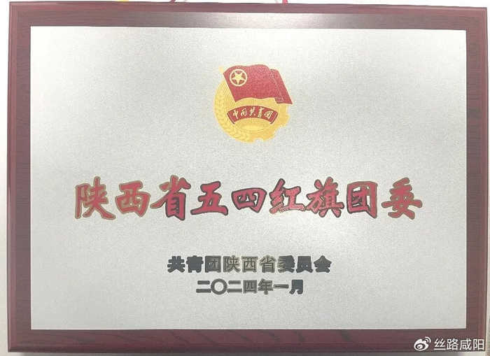喜报陕西省核工业二一五医院团委喜获陕西省五四红旗团委荣誉称