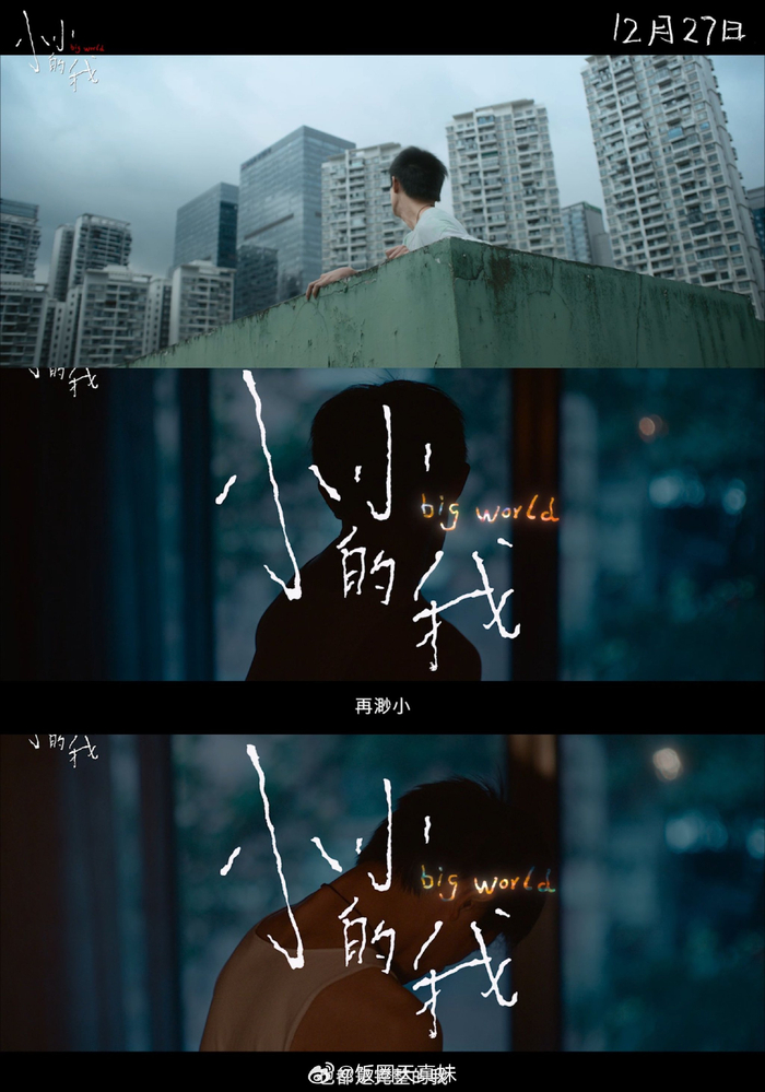 小小智慧树免费下载