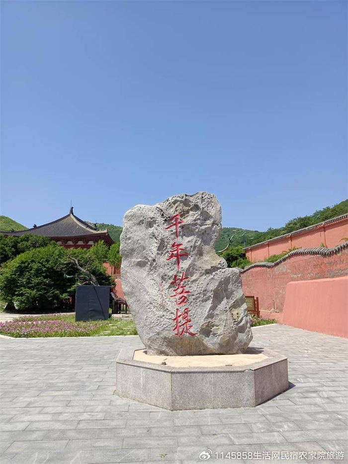 兴城海岛住宿：探寻滨海度假的新方式