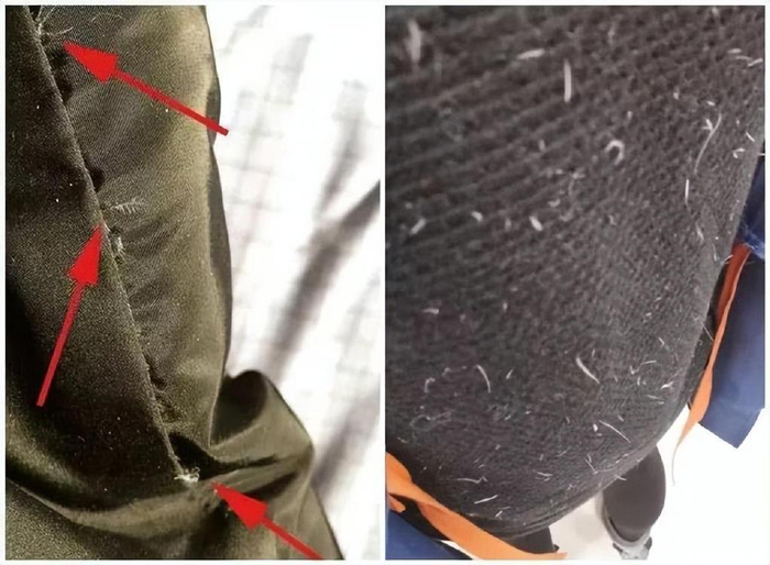 我都穿过,谈谈真实感受|鹅绒|羽绒|污渍_新浪新闻