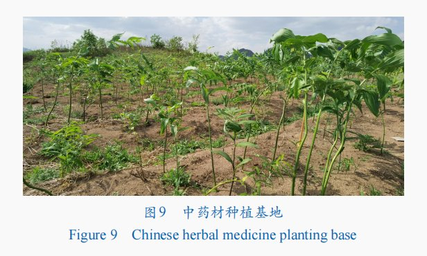 中国科学院助力贵州水城脱贫振兴的"科学之心"|贵州